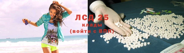 индика Белокуриха