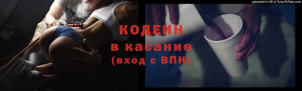 индика Белокуриха