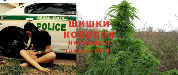 индика Белокуриха