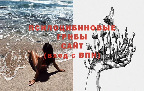 индика Белокуриха