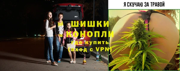 индика Белокуриха