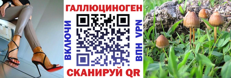 Галлюциногенные грибы MAGIC MUSHROOMS  цена   Светогорск 